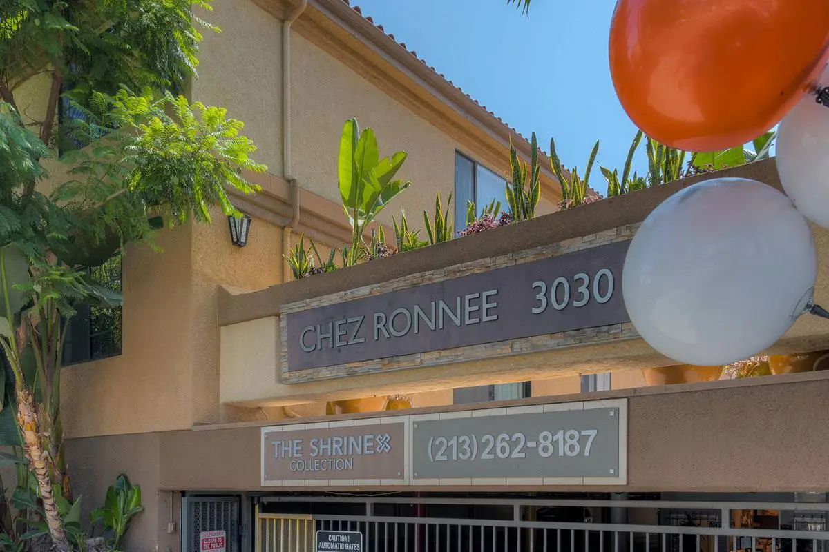 Apartment for rent #1