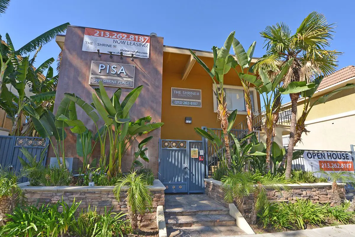 Apartment for rent #3