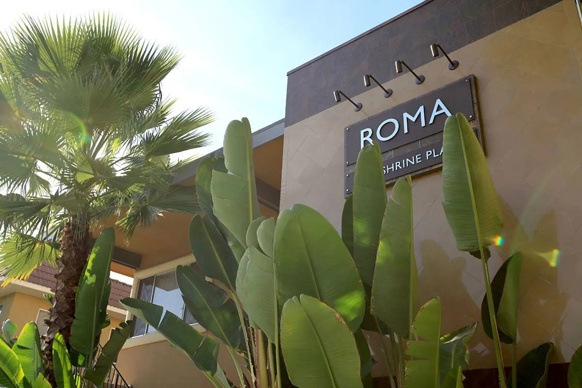 Apartment for rent #4